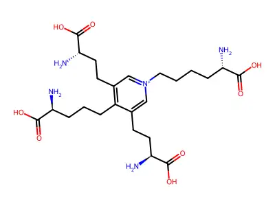 鎖鏈素 structure