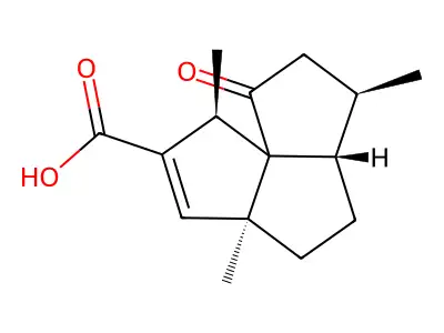 Suberogorgin structure