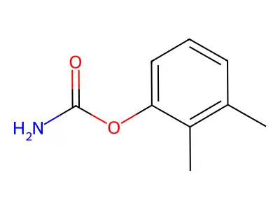 氨基甲酸-2,3-二甲苯酯 structure