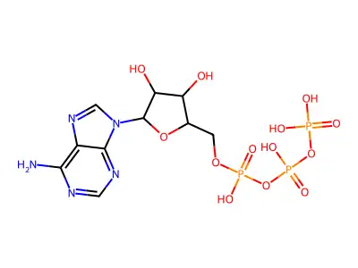 藻红蛋白 structure