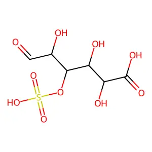 D-葡萄糖醛酸-3-硫酸氢酯 structure