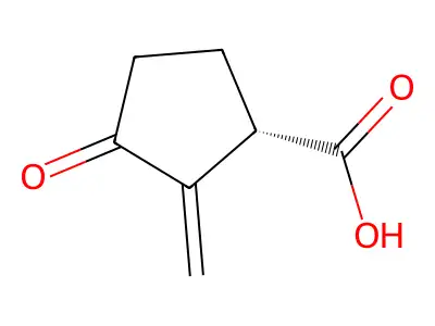 N,N-Diethyl-N'-(5-methyl-5H-dipyrido(4,3-b:3',4'-d)pyrrol-1-yl)-1,3-propanediamine structure