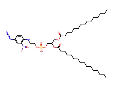 1,2-Dipalmitoyl-sn-glycerol 3-((((4-azido-2-nitrophenyl)amino)ethyl)phosphate) structure