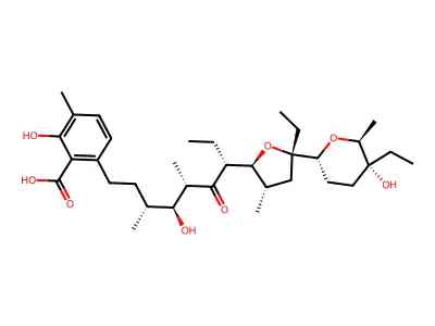 拉沙洛西 structure