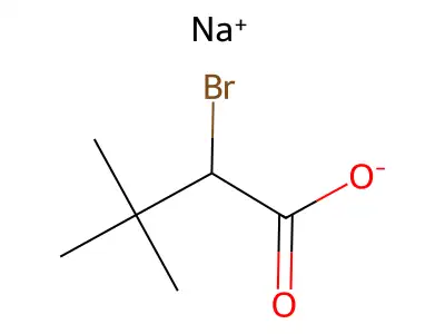 6alpha-Acetoxypicrasine B structure