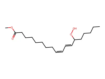 Methyl linoleate hydroperoxide structure