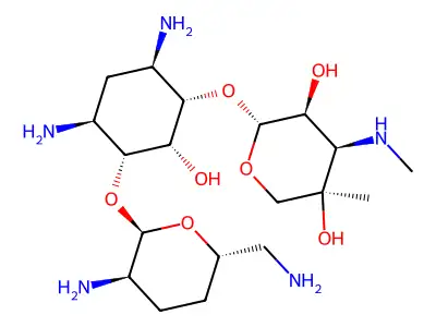 Gentamicin C structure