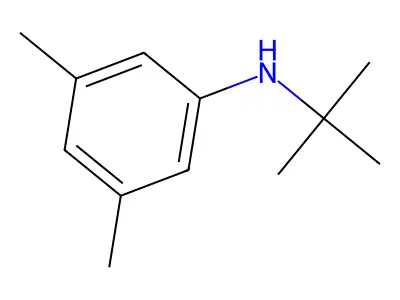 N-tert-Butyl-3,5-dimethylaniline structure