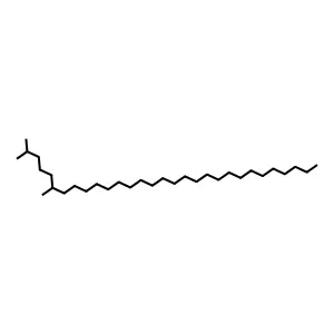 2,6-Dimethyltriacontane structure