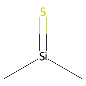 Silane, dimethylthioxo- structure