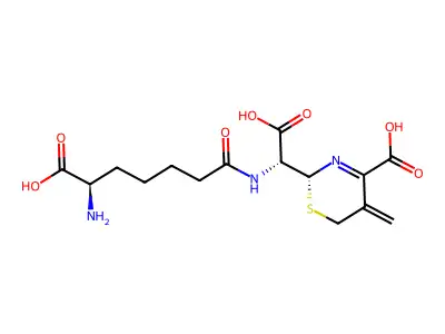 头孢菌素C structure