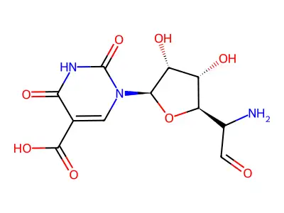 Polyoxins structure