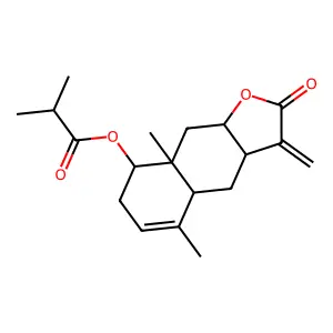 Subcordatolide E structure