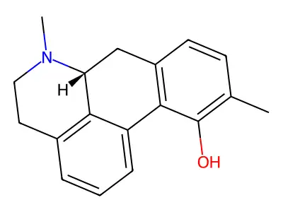 PM 1000 structure