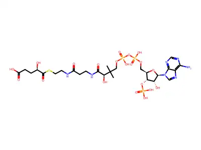 Coenzyme A, S-(5-hydrogen (2R)-2-hydroxypentanedioate) structure