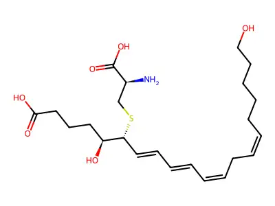 20-Hydroxy-leukotriene E4 structure