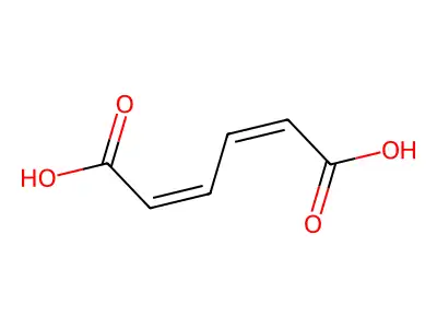 (2Z,4Z)-2,4-己二烯二酸 structure