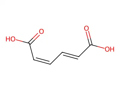 (2E,4Z)-2,4-Hexadienedioic acid structure