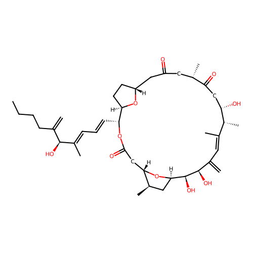 Amphidinolide C structure