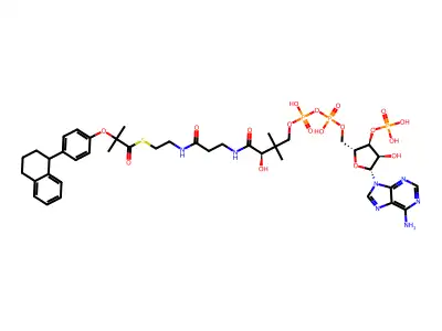 nafenopin-coenzyme A structure
