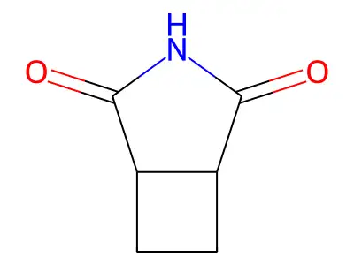 1,2-Cyclobutanedicarboximide structure