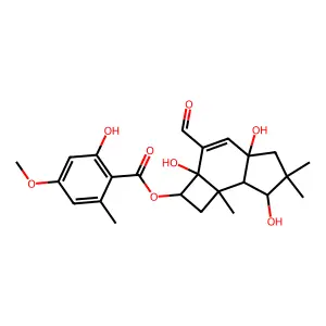 5'-O-methylmelledonal structure
