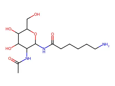 2-Acetamido-N-(e-aminocaproyl)-2-deoxy-beta-D-glucopyranosylamine structure
