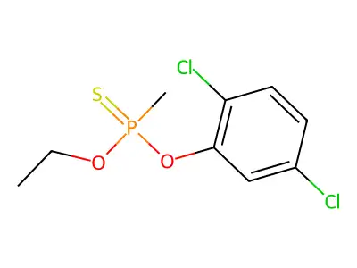1,2-Campholide structure