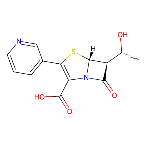 J1.566.024D structure