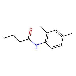 N-(2,4-dimethylphenyl)butanamide structure