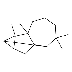 Longicyclene structure