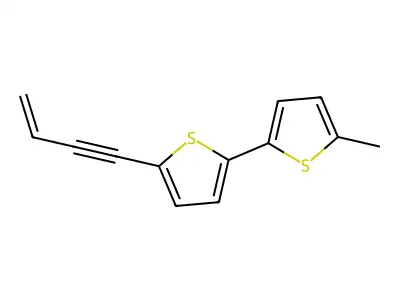 2,2'-Bithiophene, 5-(3-buten-1-ynyl)-5'-methyl- structure
