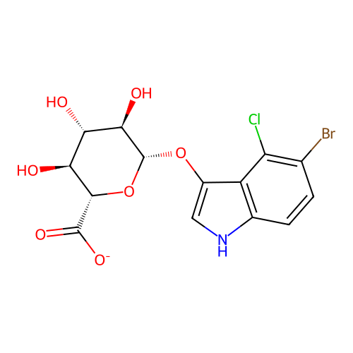 X-Gluc structure