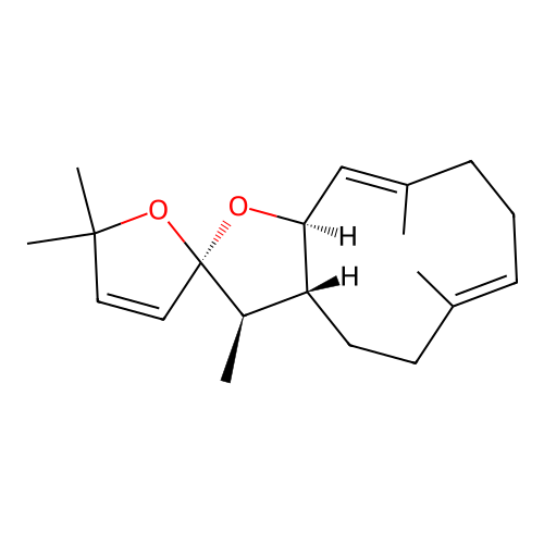 Asperketal B structure
