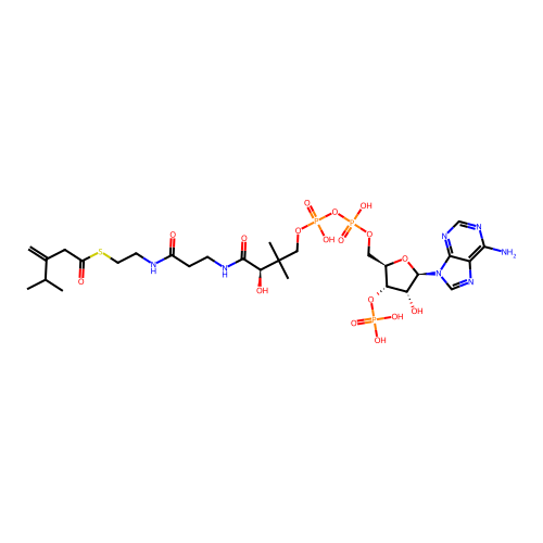 3-Isopropylbut-3-enoyl-CoA structure