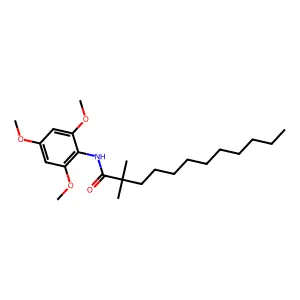 2,2-Dimethyl-N-(2,4,6-trimethoxyphenyl)dodecanamide structure