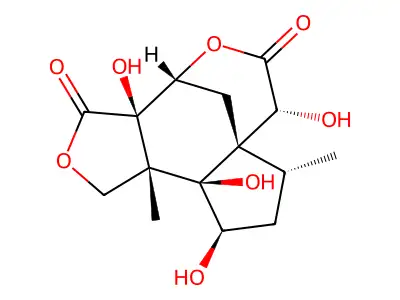 Majucin structure