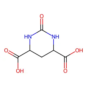 2-Oxo-1,2,3,6-tetrahydropyrimidine-4,6-dicarboxylate structure