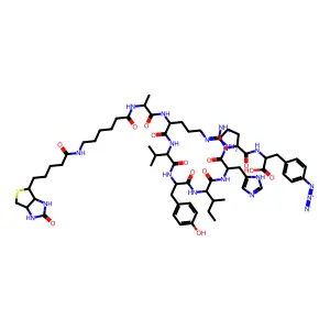 Biotin-nonapeptide structure