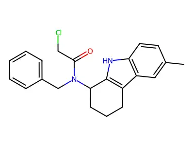 N-benzyl-2-chloro-N-(6-methyl-2,3,4,9-tetrahydro-1H-carbazol-1-yl)acetamide structure