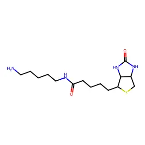 5-(生物素酰氨基)戊胺 structure