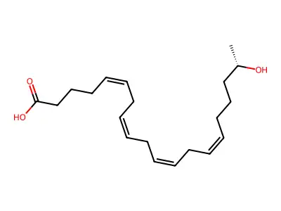 19(R)-Hete structure