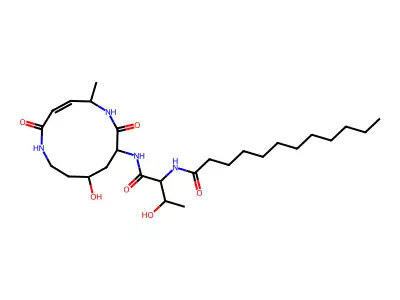 Dodecanoylglidobactamide structure
