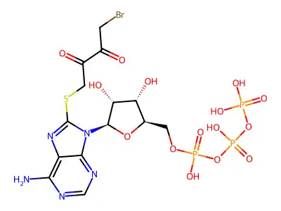 8-((4-Bromo-2,3-dioxobutyl)thio)adenosine 5'-triphosphate structure