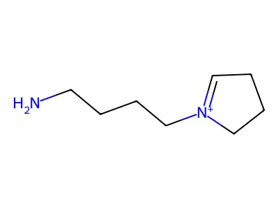 Succinylglutaminyl-valyl-valyl-alanyl-alanine-4-nitroanilide structure