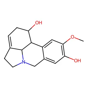 Yanangin structure