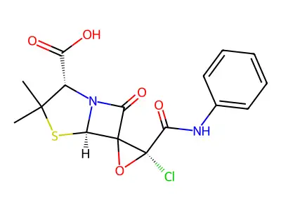 Cpe-penicillin structure