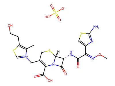 CS 461 structure