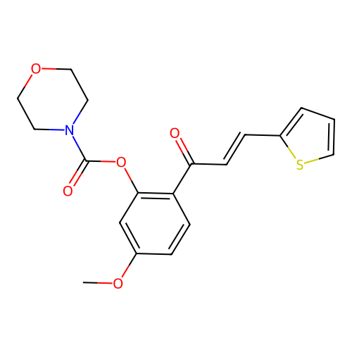 (E)-5-methoxy-2-(3-(thiophen-2-yl)acryloyl)phenyl morpholine-4-carboxylate structure