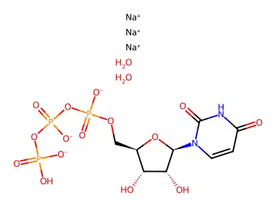 CTK8F0999 structure